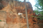 photo thumbnail #4