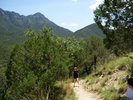 photo thumbnail #7