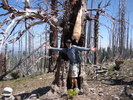 photo thumbnail #5