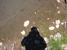 photo thumbnail #8