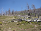 photo thumbnail #12
