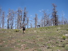 photo thumbnail #13