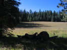 photo thumbnail #5
