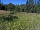 photo thumbnail #6