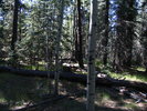 photo thumbnail #8