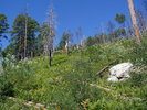 photo thumbnail #2