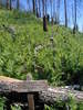 photo thumbnail #4