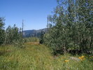 photo thumbnail #7