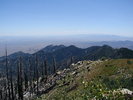 photo thumbnail #8