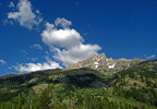 photo thumbnail #2