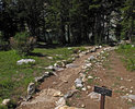photo thumbnail #15