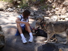 photo thumbnail #6