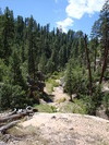 photo thumbnail #7