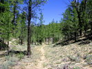 photo thumbnail #6