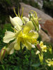 photo thumbnail #14