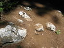 photo thumbnail #10