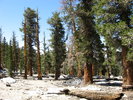 photo thumbnail #6