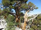 photo thumbnail #12