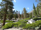 photo thumbnail #14