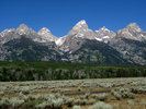 photo thumbnail #10