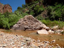 photo thumbnail #5