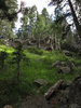 photo thumbnail #7