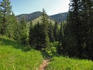 photo thumbnail #7
