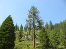 photo thumbnail #7