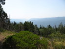 photo thumbnail #11