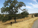 photo thumbnail #15