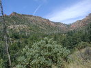 photo thumbnail #1