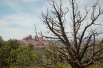 photo thumbnail #2