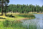 photo thumbnail #10