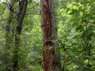 photo thumbnail #10