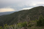 photo thumbnail #10