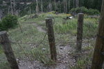 photo thumbnail #11