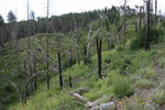 photo thumbnail #14