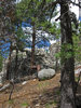 photo thumbnail #1
