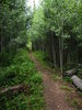 photo thumbnail #5