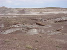 photo thumbnail #12
