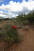 photo thumbnail #2