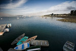 photo thumbnail #10