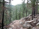 photo thumbnail #4