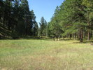 recent photo