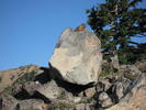 photo thumbnail #4