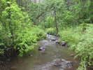 photo thumbnail #7