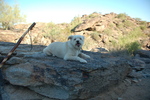 photo thumbnail #4