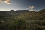 photo thumbnail #1