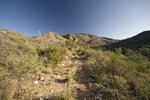 photo thumbnail #6
