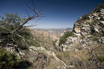 photo thumbnail #13
